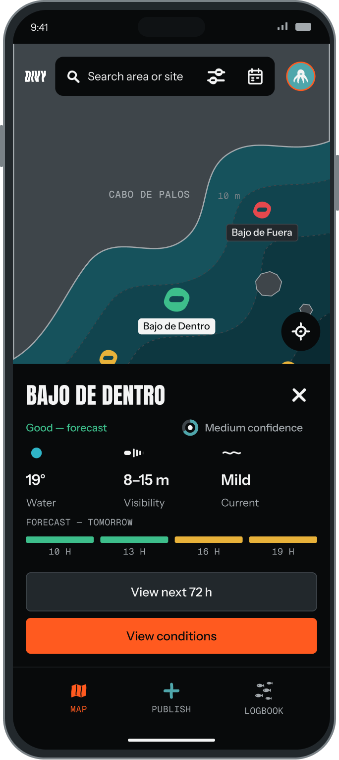 The conditions card for Bajo de Dentro